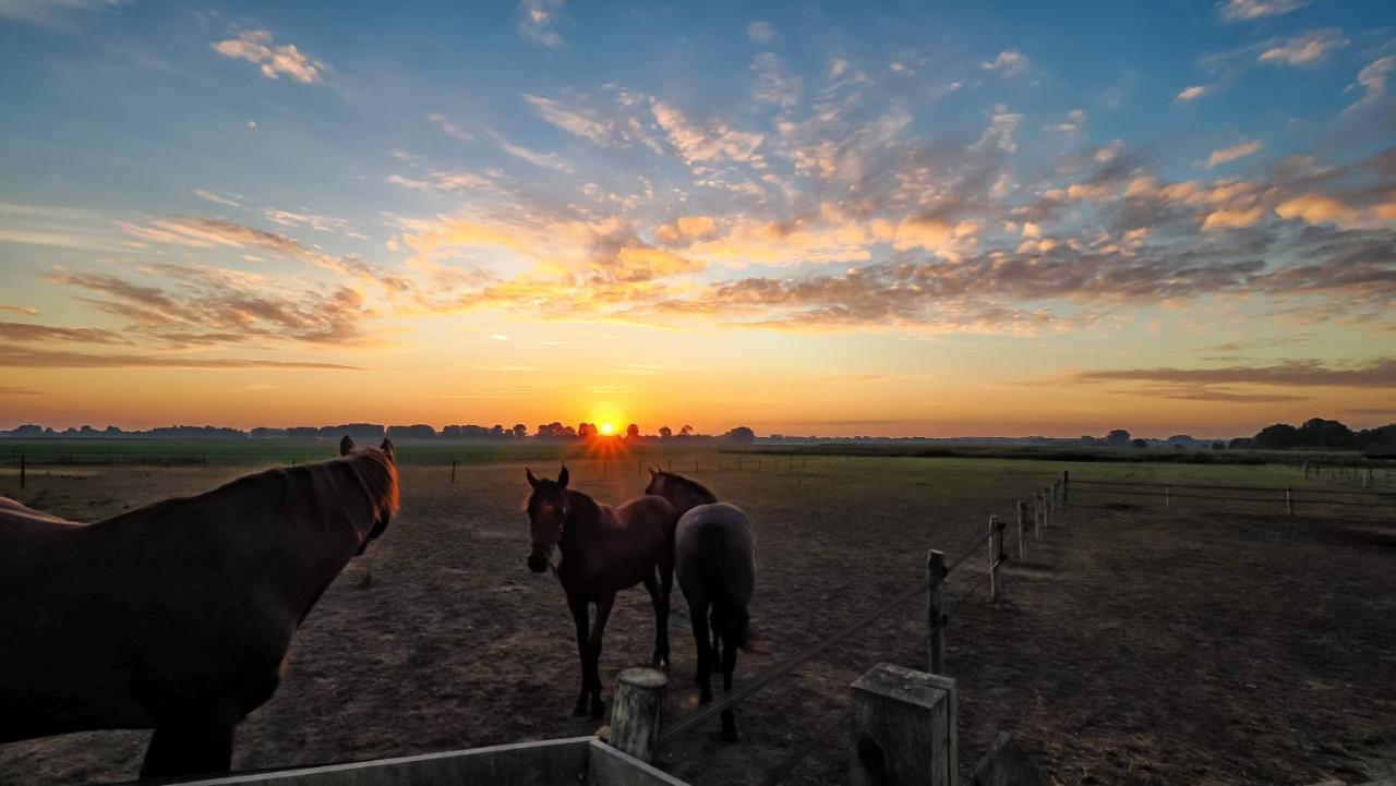 Gastenverblijf Bie Zus Buggenum Bagian luar foto